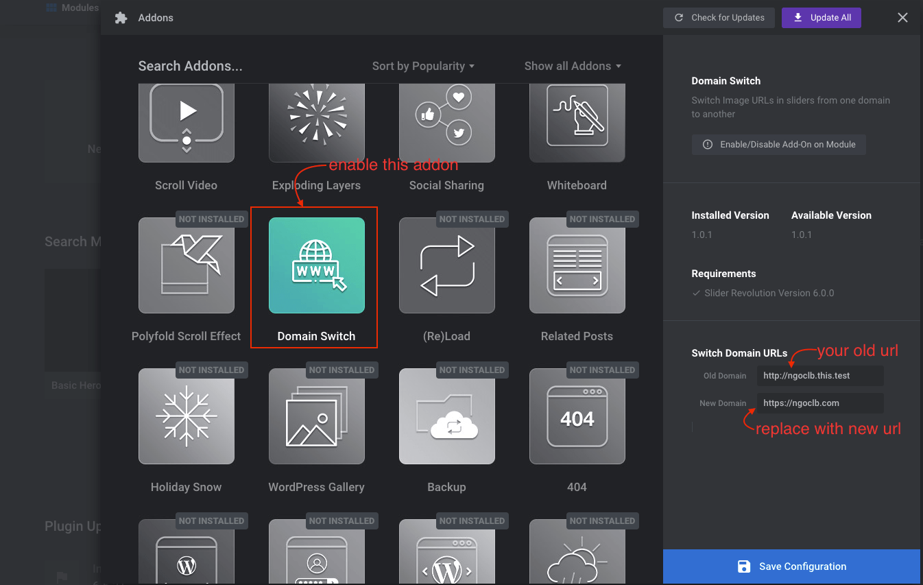 Installing domain switch add on