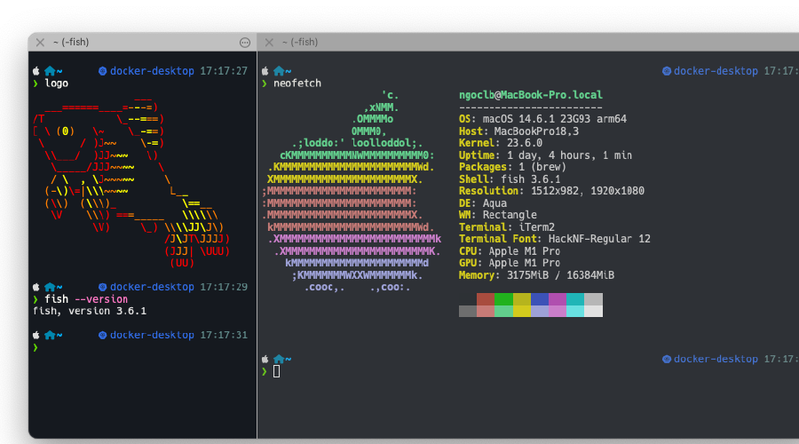 Switch From Zsh to Fish